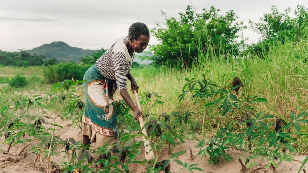 Malawi