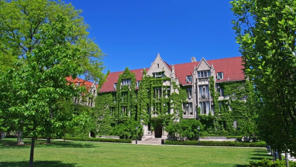 The University of Chicago