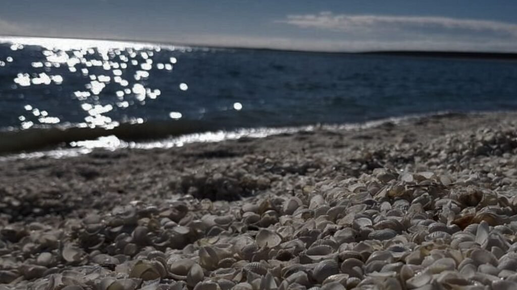 Shell Beach, Western Australia